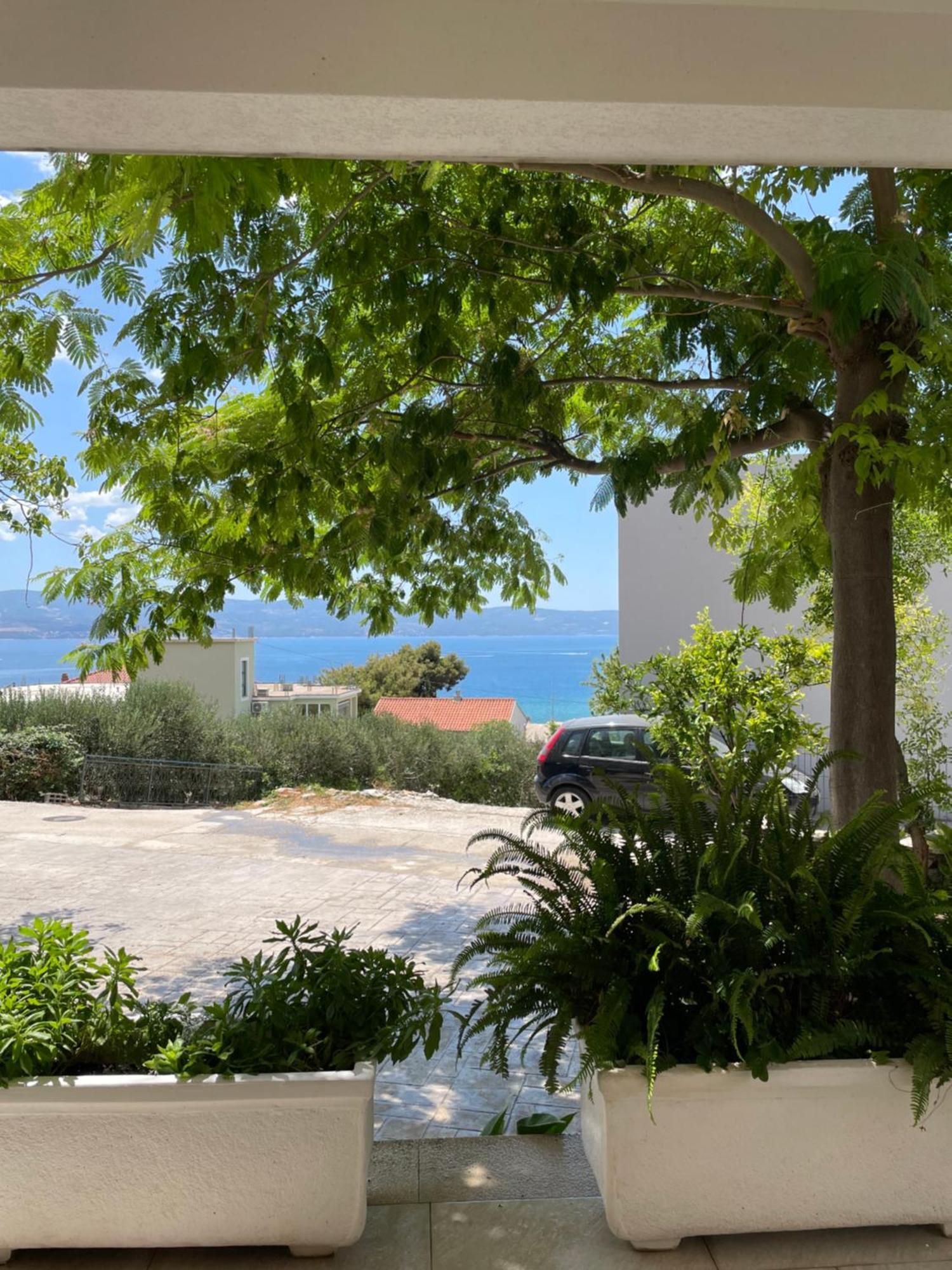 Superior Apartman Vujevic, Duće エクステリア 写真